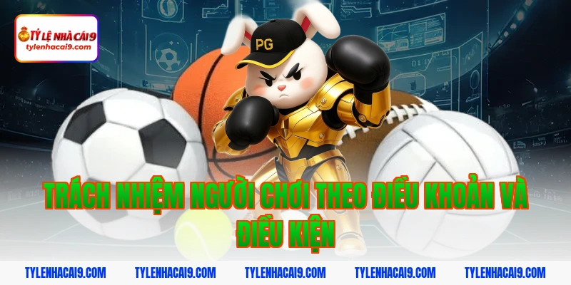 Điều Khoản Và Điều Kiện 5 Trách nhiệm người chơi theo điều khoản và điều kiện