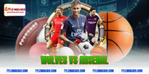 Nhận định đánh giá và soi kèo tỷ số trận Wolves vs Arsenal 4 wolves vs arsenal