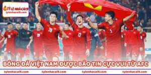 Bóng Đá Việt Nam Được AFC Xác Nhận Báo Tin Cực Vui 10 Bóng Đá Việt Nam Được Báo Tin Cực Vui Từ AFC Xác Nhận